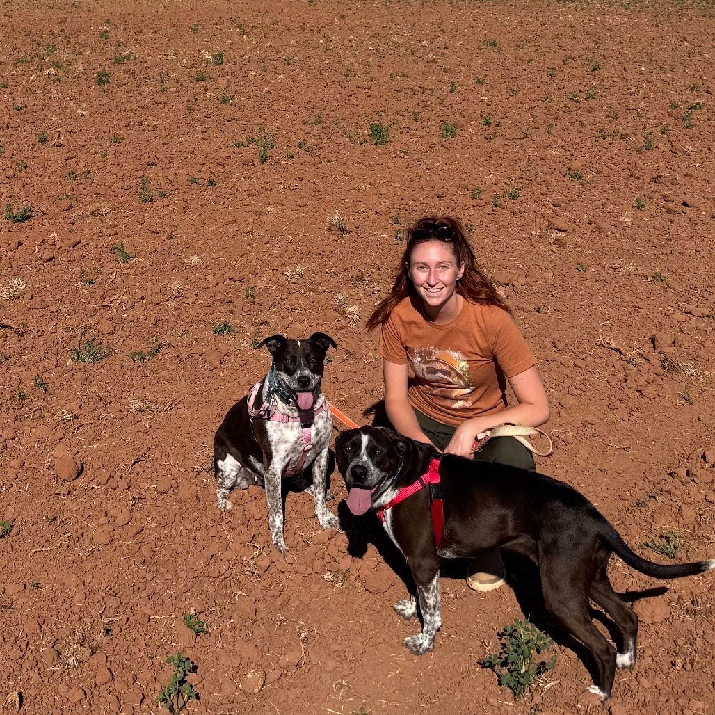 Adoptable Female Female