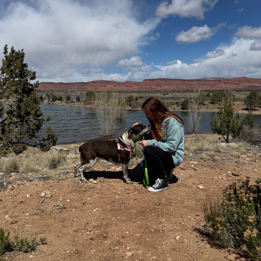 Adoptable Female Female