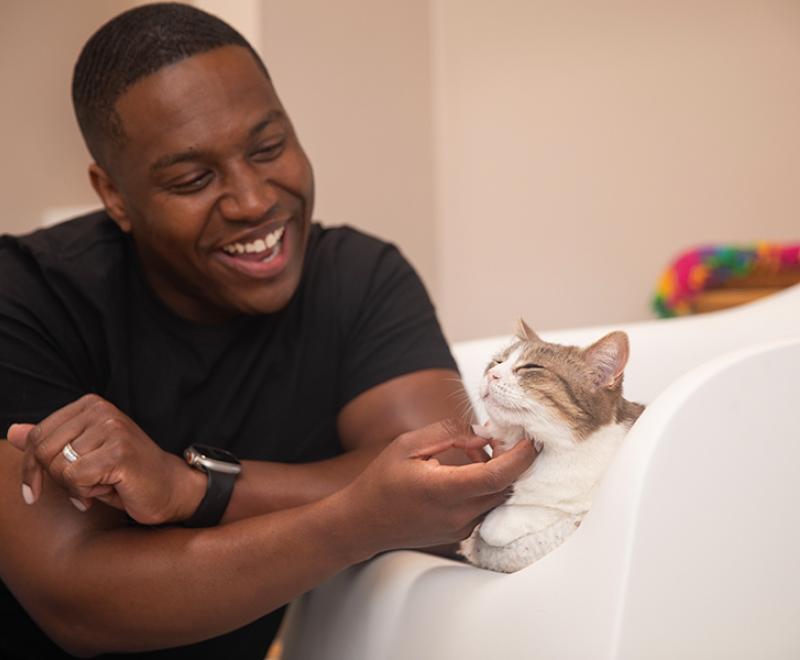 Person smiling and petting a cat's chin
