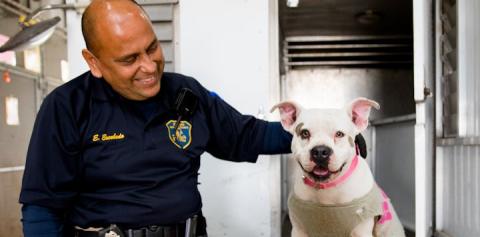 Animal control officer in navy blue uniform sitting next to white dog with black spot over its right eye