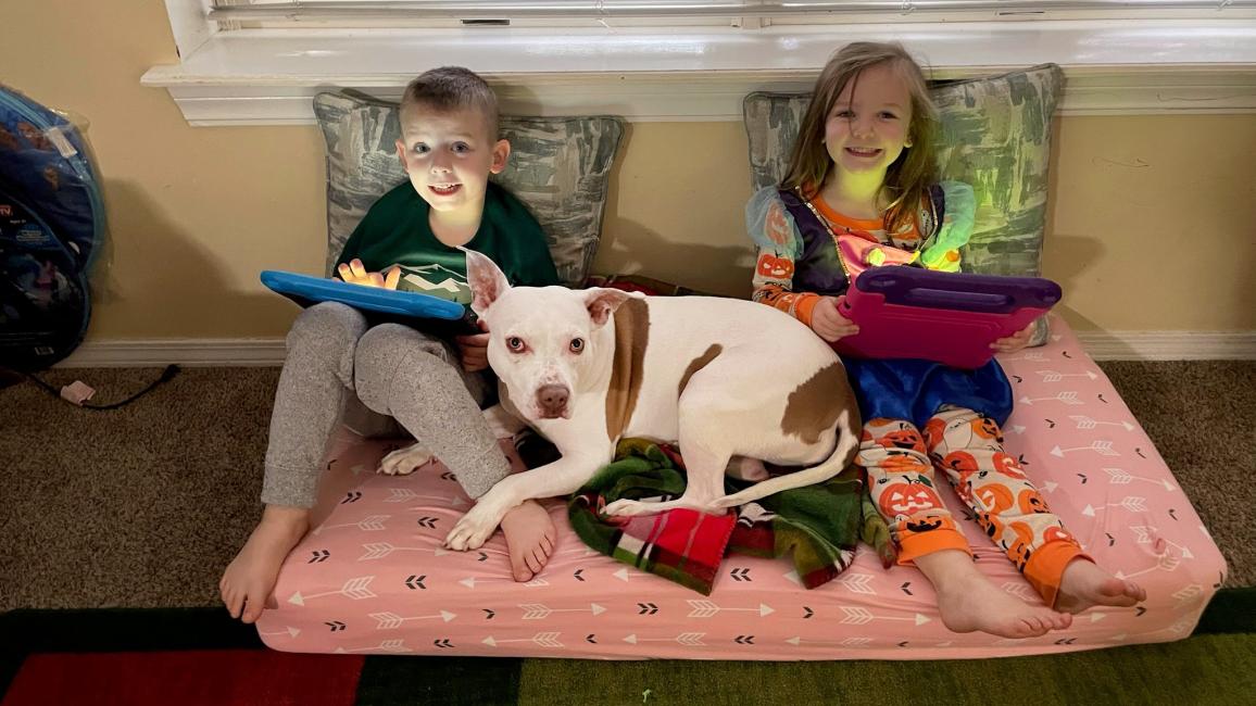 Annie the dog on a large cushion with two children who are smiling and holding tablets