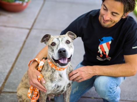 Person wearing a dog T-shirt with arm around a smiling pit-bull-type dog