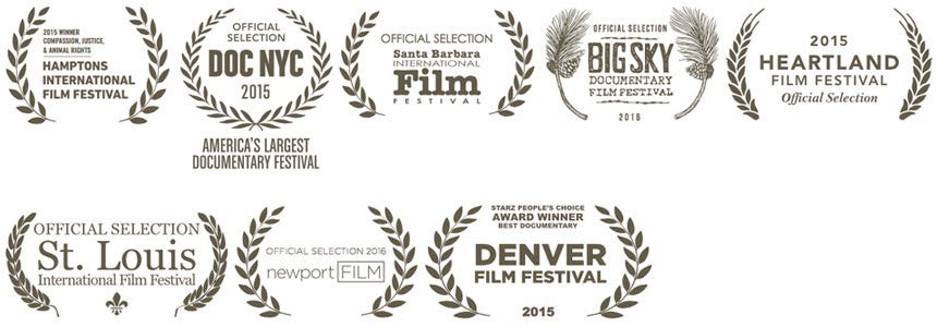 The Champions movie award logos