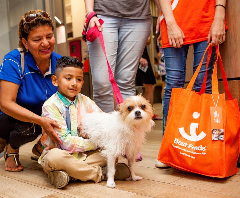 Smiling people adopting a dog