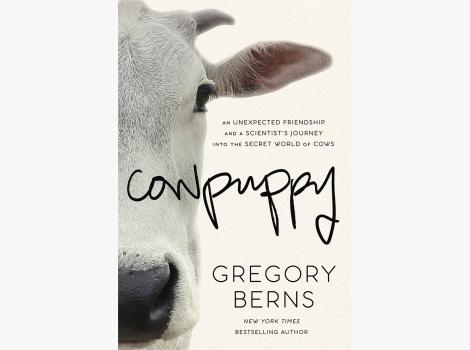 Cover of the book, "Cowpuppy: An Unexpected Friendship and a Scientist’s Journey into the Secret World of Cows"