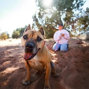 Georgia Vicktory dog sitting with person in canyon