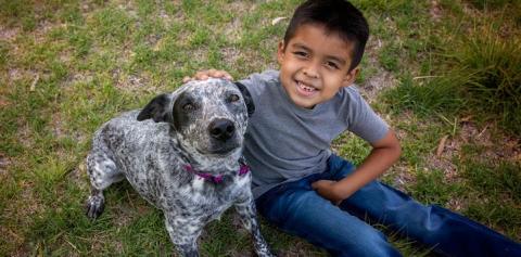 Young boy sitting in grass with black and white dog