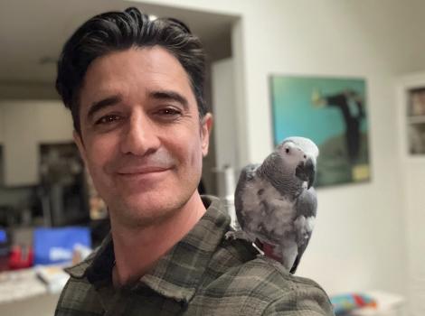 Actor Gilles Marini with Z the African grey parrot