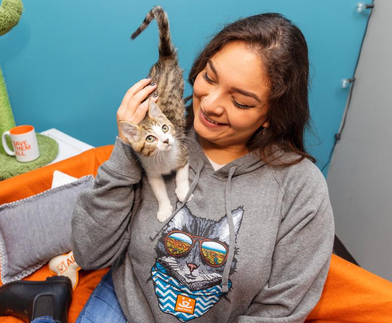 Person wearing a gray Best Friends sweatshirt while a kitten walks on their shoulder