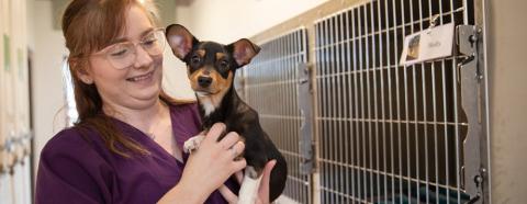 Smiling person holding a small black and tan dog in front of some stainless steel kennels