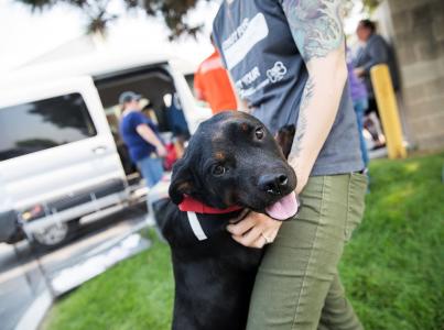 Puppy smiling at camera.