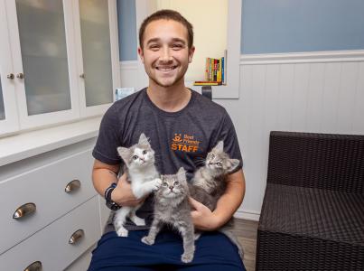 Smiling person sitting down while holding three kittens