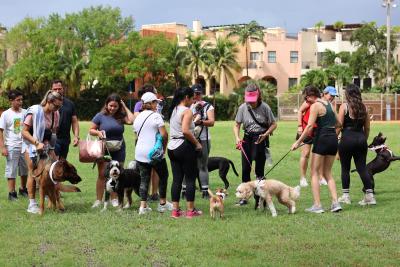 People and dogs with the The Doggie Walk Club