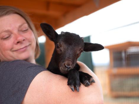 Person holding Emmett the lamb in her arms