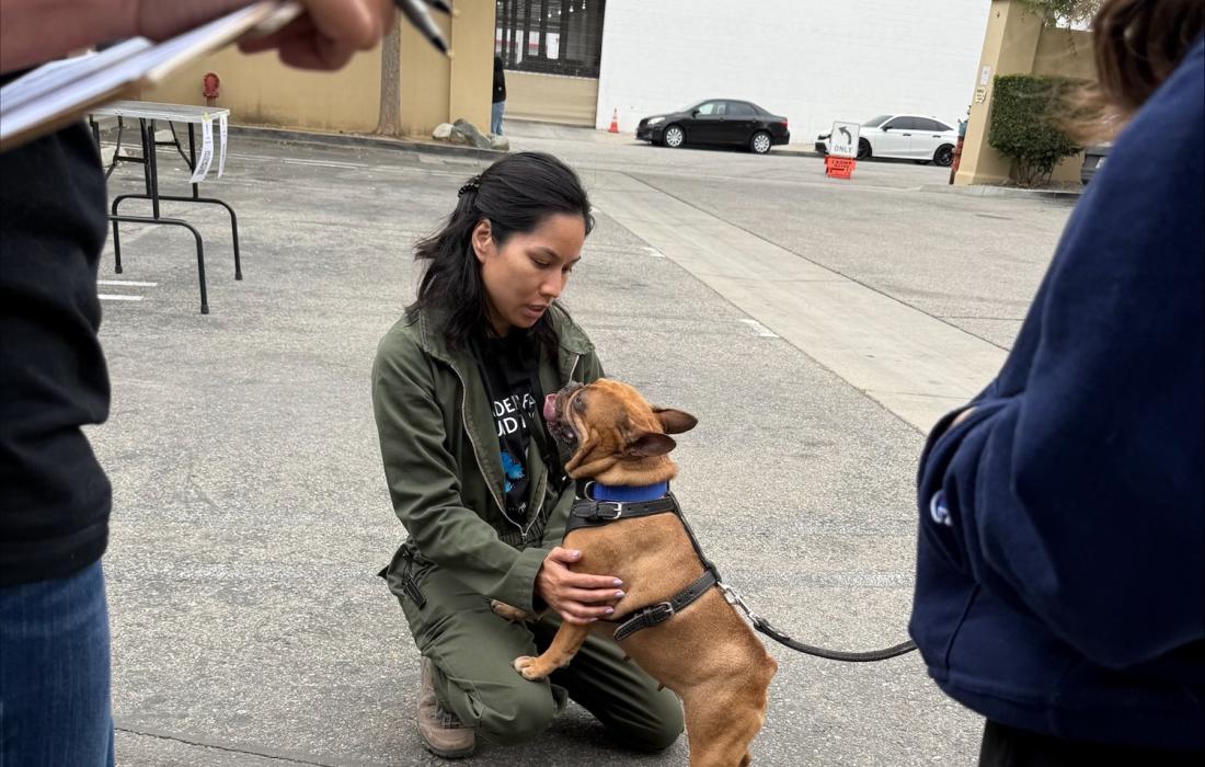 Person kneeling down for a small dog on a leash in a parking lot at the spay/neuter event
