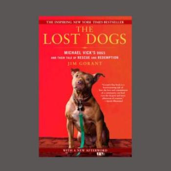 Cover of book, "Lost Dogs"