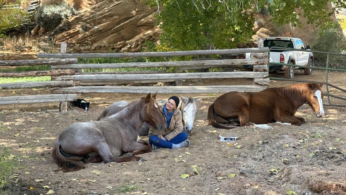 Gina sitting with with three horses lying together on the ground