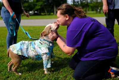 Person bending down to kiss Millie the dog