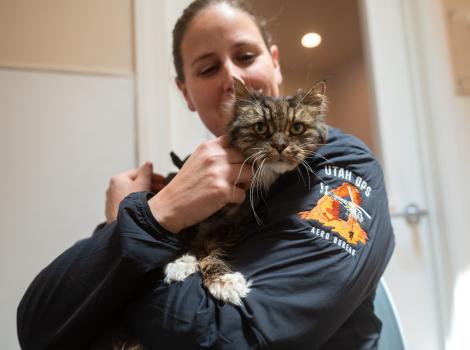 Mirage being adopted by the pilot who found her.