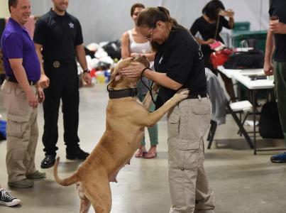 A field services officer joyfully hugs a dog at a lively event