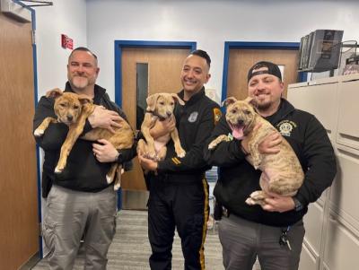 Three New Jersey police officers holding the puppies they're adopting