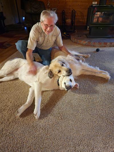 Anna and Racer the dogs lying beside a person