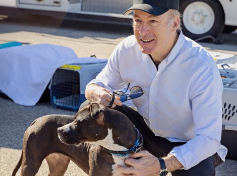 Bob Odenkirk with a dog helping at a flight transport event during the Los Angeles wildfires