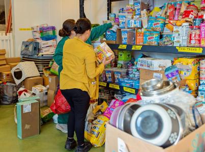 Stockpile of pet food donations