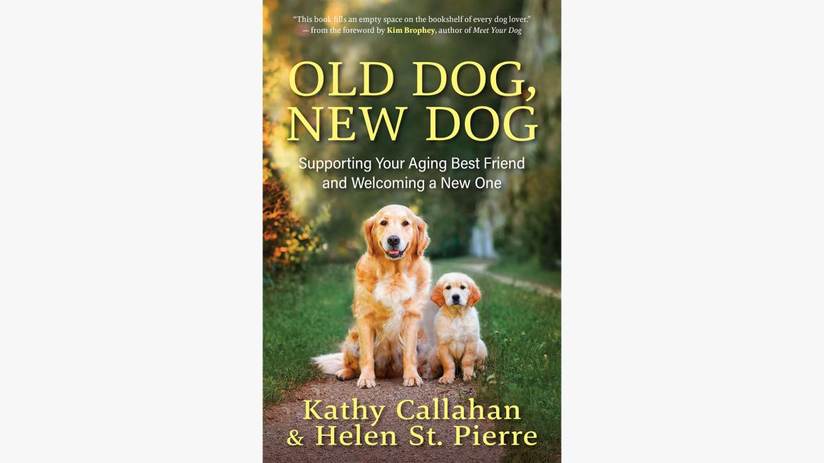 Book cover of "Old Dog, New Dog: Supporting Your Aging Best Friend and Adding a New One"
