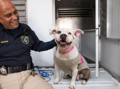 Animal services officer smiles at a dog.