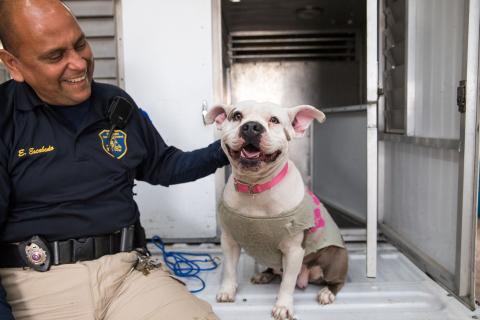 animal control officer with a dog