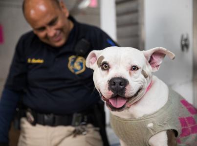 ACO smiling behind a dog