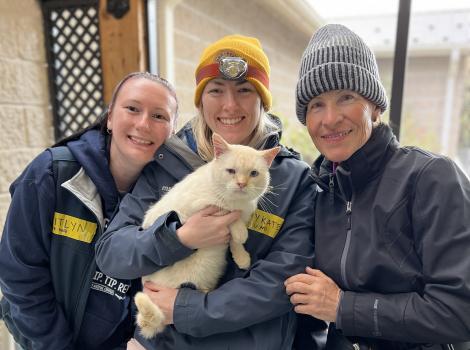 Ricardo Blanco the cat at the mobile veterinary clinic