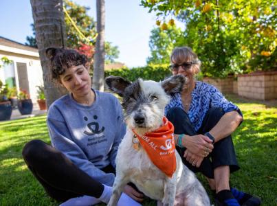 Two foster parents sit behind their foster dog in the grass.