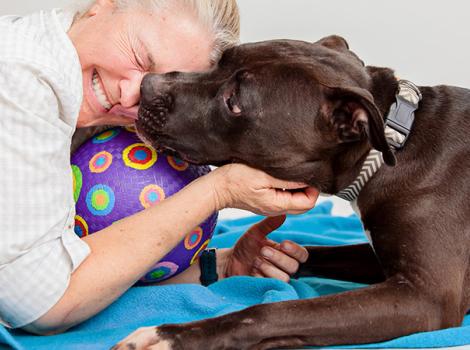 senior-pit-bull-adoption-GunnerCourtesyPhotobyLoriFusaro.jpg