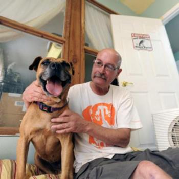 Man sitting on couch next to pit bull terrier