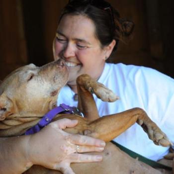 Woman holding pit bull terrier like a baby