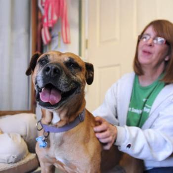 Layla the dog smiling in home environment with people