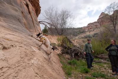 Skipper the dog running up a rock formation to chase a ball with two people watching