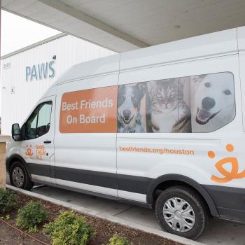 Best Friends On Board transport van