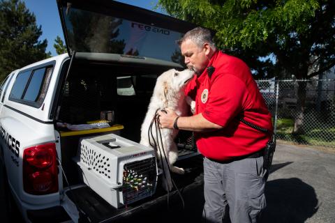 Field services officer getting kisses from a dog.