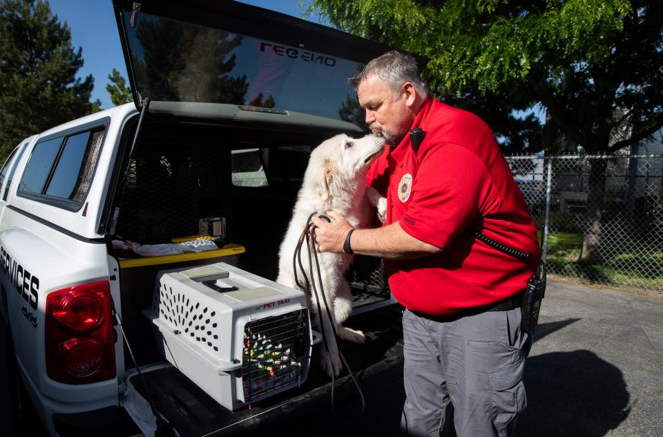 Field Services Officers getting kisses from a dog on a van.