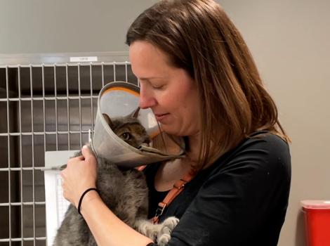 Dr. Christina Boekhout holding Stone Cold the cat who is wearing a protective e-collar