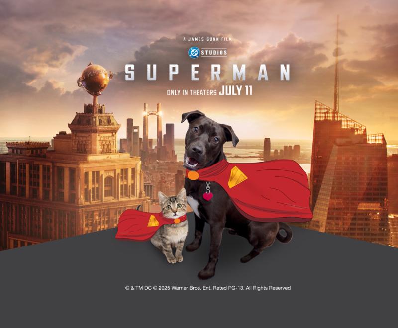 dog and cat in Superman capes in front of Metropolis