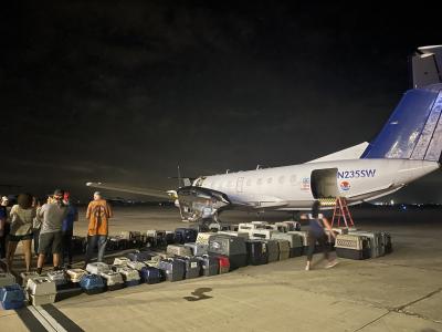 Many carriers containing cats and dogs from flood-impacted shelters next to the transport airplane