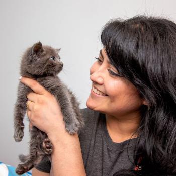 Woman smiling at a kitten.