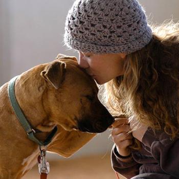 Woman kissing large brown dog on head