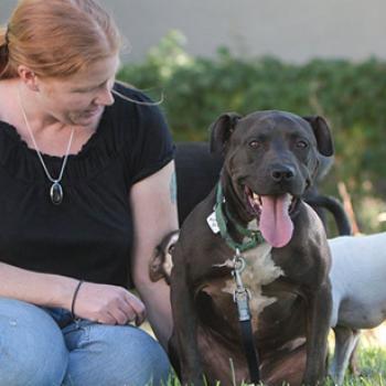 Woman sitting on lawn next to large brown dog