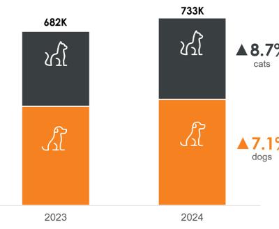 2023 and 2024 bar charts of dog and cat transfers.
