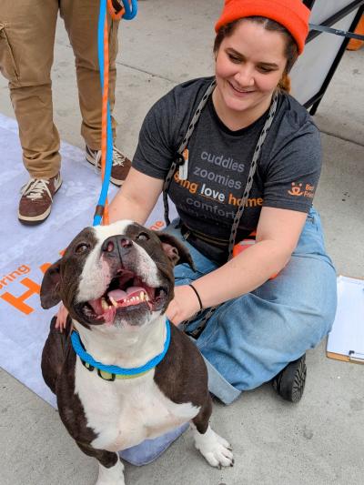 Person interacting with a dog at the Bring Happy Home Walmart adoption event in Los Angeles